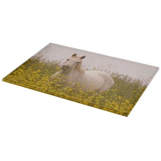 lente snijplank (Hoek)