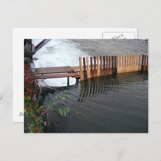 Lente start briefkaart (Voorkant / Achterkant)