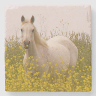 lente stenen onderzetter