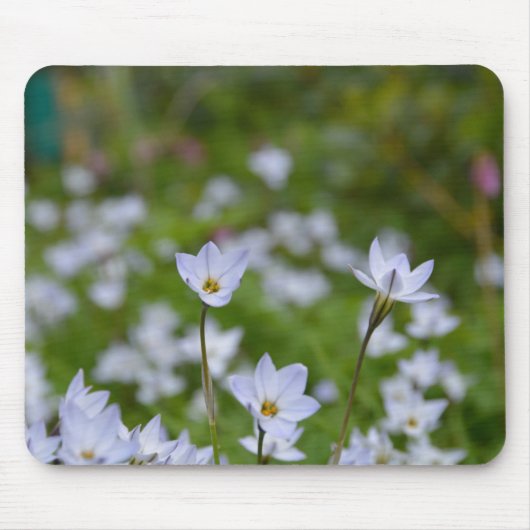 Lente Sterbloem Muismat (Voorkant)