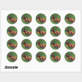 Lente Sticker (Vel)