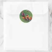 Lente Sticker (Tas)