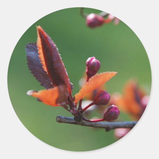 Lente Sticker (Voorkant)