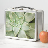 Lente Succulent (In situ)