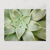 Lente Succulent Briefkaart (Voorkant)