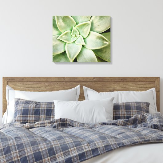 Lente Succulent Canvas Afdruk (Insitu (Slaapkamer))