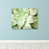 Lente Succulent Canvas Afdruk (Insitu (Houten vloer))