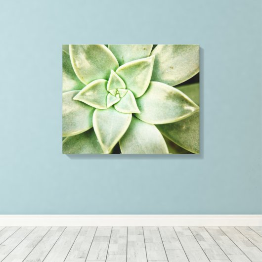 Lente Succulent Canvas Afdruk (Insitu (Houten vloer))