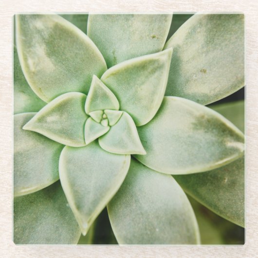 Lente Succulent Glazen Onderzetter (Voorkant)