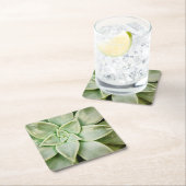 Lente Succulent Kartonnen Onderzetters (Insitu)