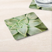 Lente Succulent Kartonnen Onderzetters (Schuin)
