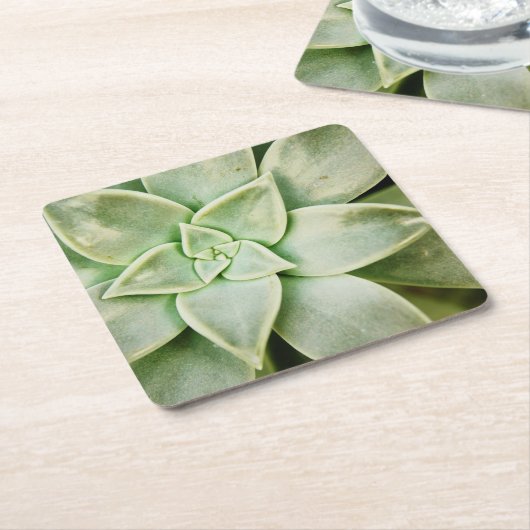 Lente Succulent Kartonnen Onderzetters (Schuin)