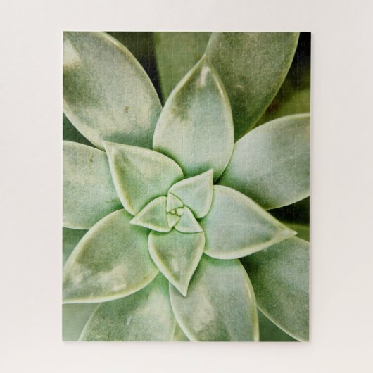 Lente Succulent Legpuzzel (Verticaal)