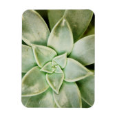 Lente Succulent Magneet (Verticaal)
