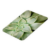 Lente Succulent Magneet (Linkerzijde)