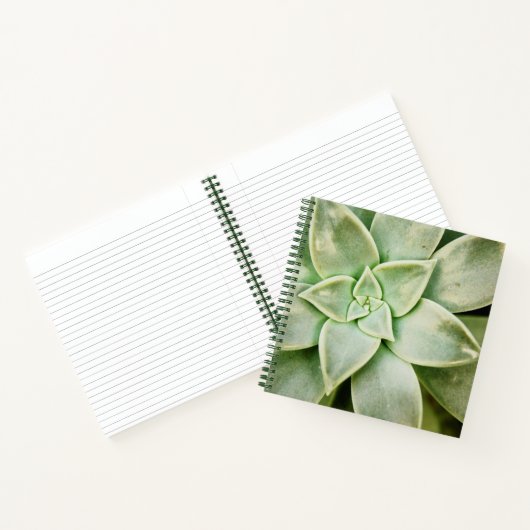 Lente Succulent Notitieboek (Binnen)