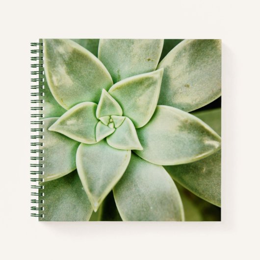 Lente Succulent Notitieboek (Voorkant)