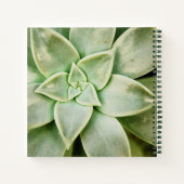 Lente Succulent Notitieboek (Achterkant)