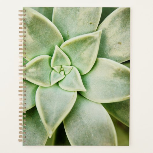 Lente Succulent Planner (Voorkant)
