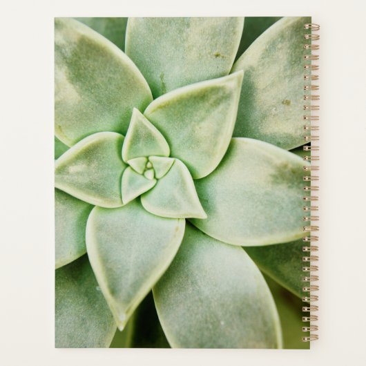 Lente Succulent Planner (Achterkant)