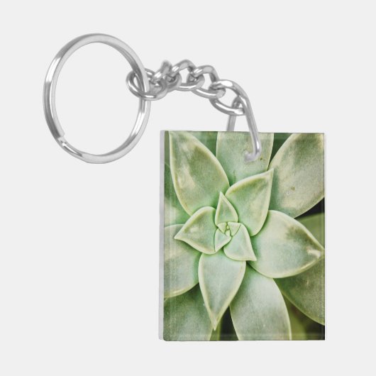 Lente Succulent Sleutelhanger (Voorkant Links)