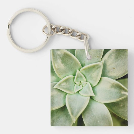 Lente Succulent Sleutelhanger (Voorkant)