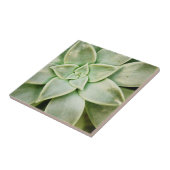 Lente Succulent Tegeltje (Zijkant)