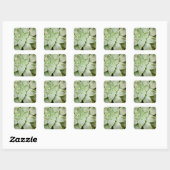 Lente Succulent Vierkante Sticker (Vel)