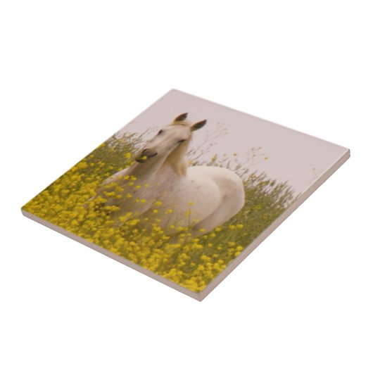 lente tegeltje (Zijkant)