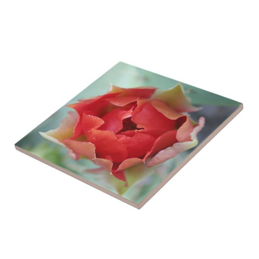 lente tegeltje (Zijkant)