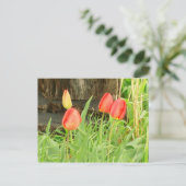 Lente Tijd 2 Briefkaart (Staand voorkant)