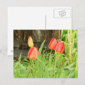 Lente Tijd 2 Briefkaart (Voorkant / Achterkant)