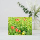 Lente Tijd 3 Briefkaart (Staand voorkant)