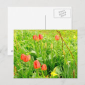 Lente Tijd 3 Briefkaart (Voorkant / Achterkant)