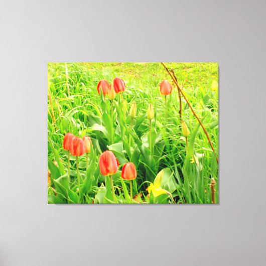Lente tijd 3 Canvas Afdruk (Voorkant)
