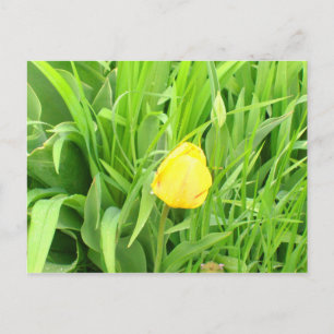 Lente Tijd 5 Briefkaart