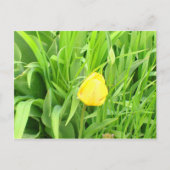 Lente Tijd 5 Briefkaart (Voorkant)