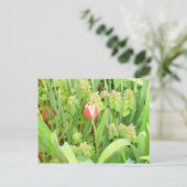 Lente Tijd 6 Briefkaart (Staand voorkant)
