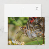 Lente tijd briefkaart (Voorkant / Achterkant)