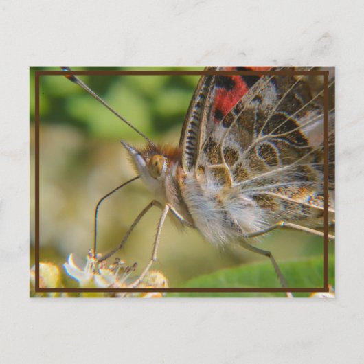 Lente tijd briefkaart (Voorkant)