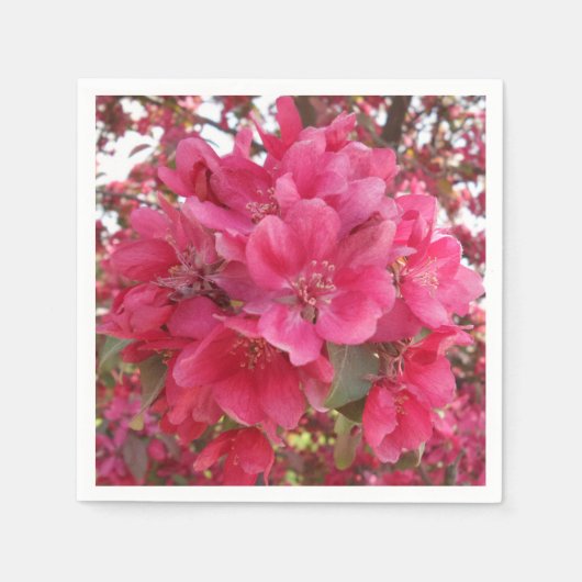 Lente-tijd-lakstaart-papier Servetten (Voorkant)