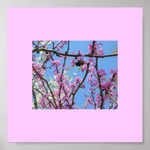 Lente tijd... poster