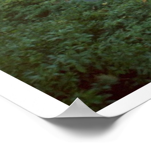 Lente tijd poster (Hoek)