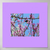 Lente tijd poster (Voorkant)