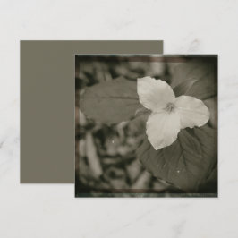 Lente Trillium Collodion Filter Notitiekaartje