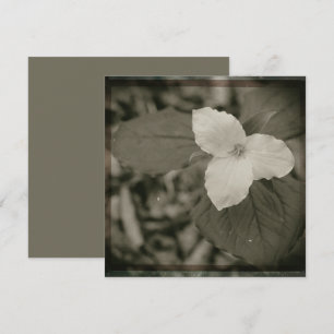 Lente Trillium Collodion Filter Notitiekaartje
