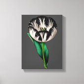 Lente Tuin Tulp Bloemen Canvas Afdruk (Voorkant)