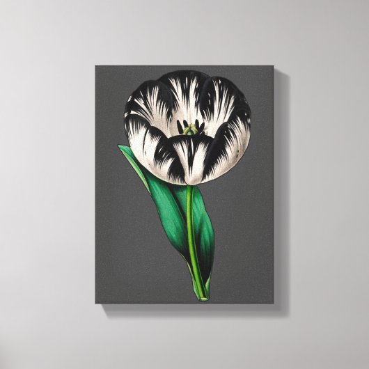 Lente Tuin Tulp Bloemen Canvas Afdruk (Voorkant)