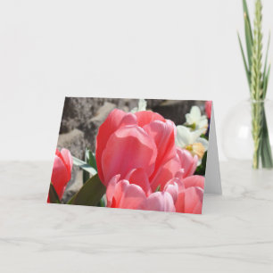 Lente Tuin Wenskaarten Personaliseer Tulpen Kaart
