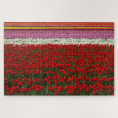 Lente Tulip Super Challenge Legpuzzel (Horizontaal)